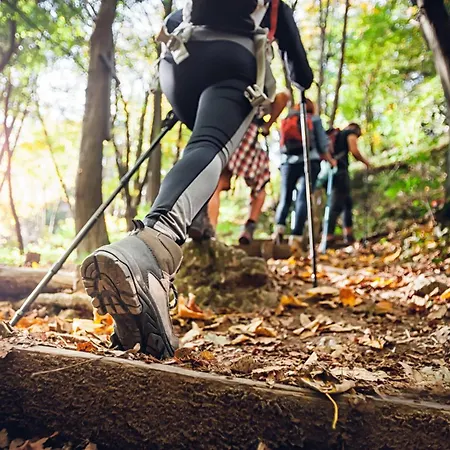 فندق Regiohotel Am Brocken - #wanderhotel #sauna #harzerlebnis #aufzug