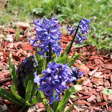 Regiohotel Am Brocken - #wanderhotel #sauna #harzerlebnis #aufzug Hotel 3*