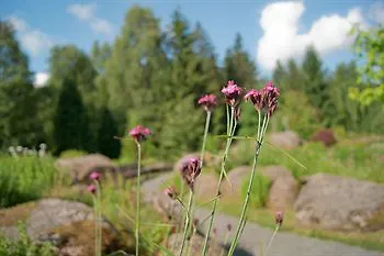 Regiohotel Am Brocken - #wanderhotel #sauna #harzerlebnis #aufzug 3*