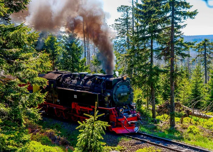 Regiohotel Am Brocken - #wanderhotel #sauna #harzerlebnis #aufzug Hotel