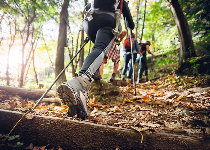 Hotel Regiohotel Am Brocken - #wanderhotel #sauna #harzerlebnis #aufzug